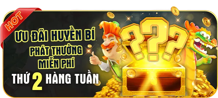Hoàn trả hàng tuần vs368