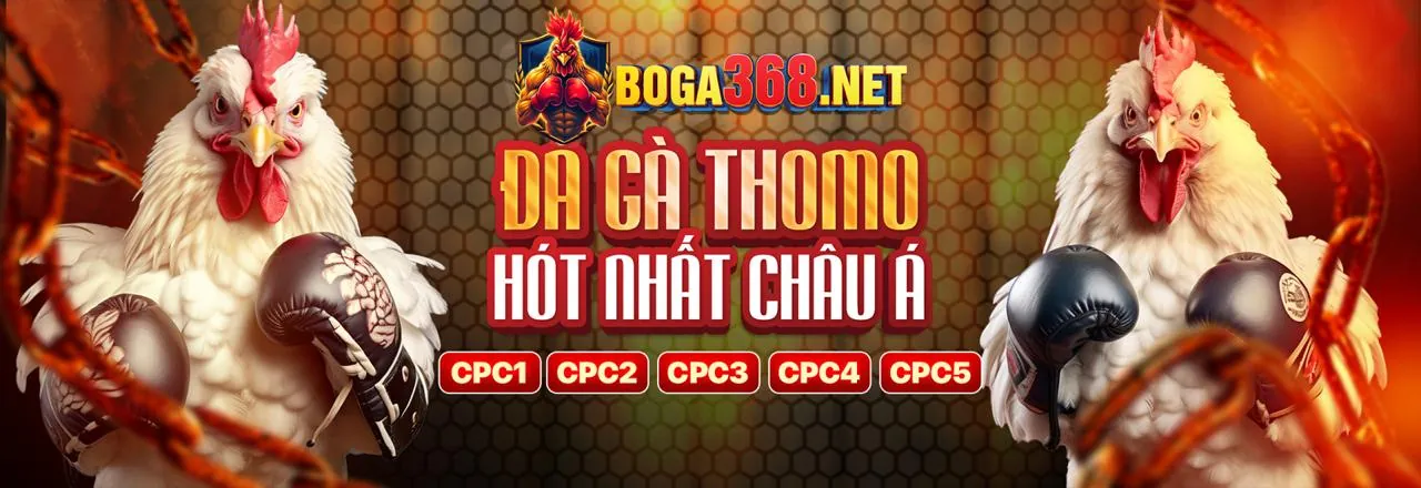 Hình ảnh chính trang đăng nhập vs368