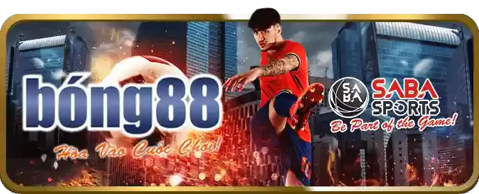 Giấy phép hoạt động và quy định pháp lý vs368